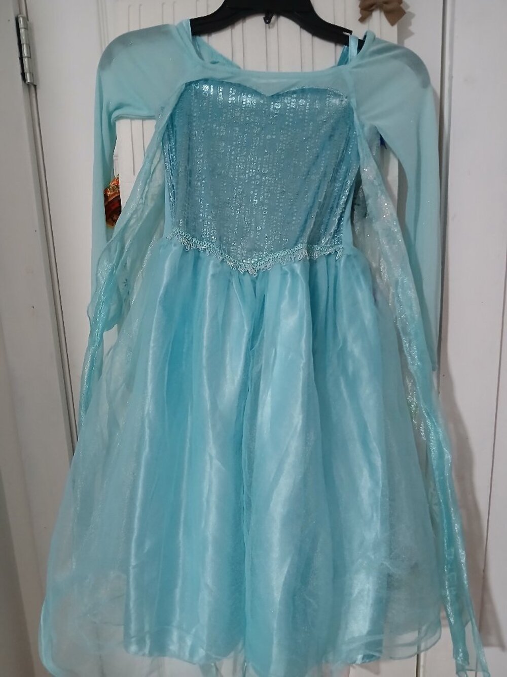 Disney Store Frozen Queen Elsa costume